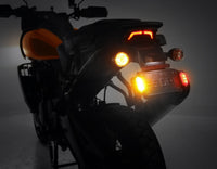 Plug-&-Play Rear T3 Turn Signal License Plate Kit for Harley-Davidson Pan America 1250