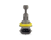 SureFit LED Bulb - H8 / H9 / H11