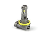 SureFit LED Bulb - H8 / H9 / H11